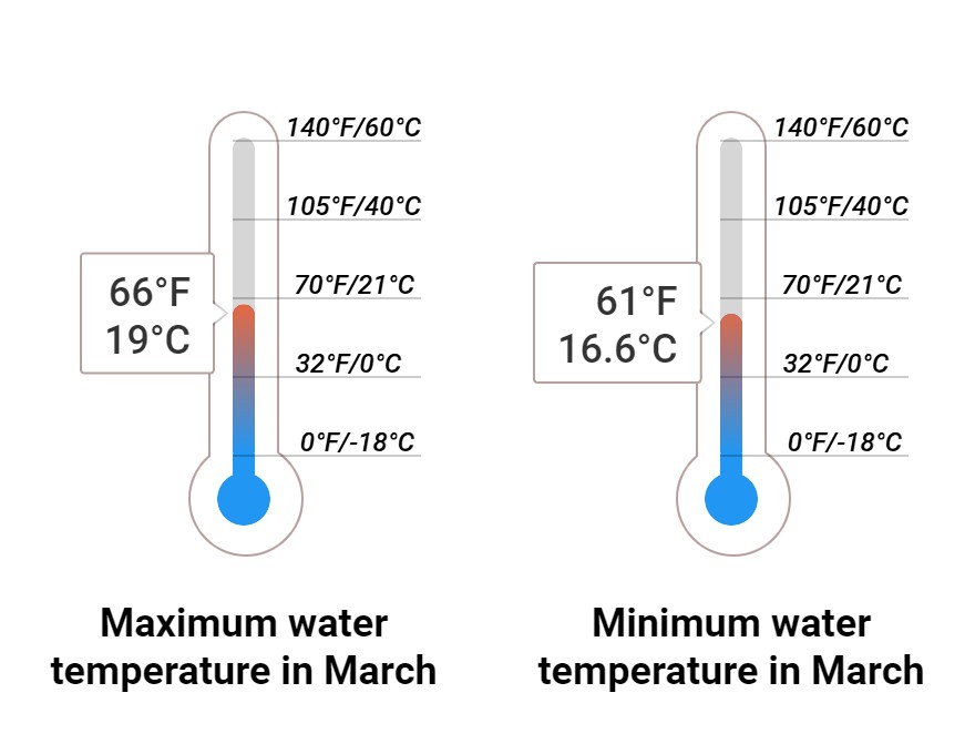 Average Sea temperature